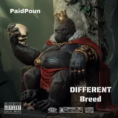 Different Breed - Single by Paid Poun album reviews, ratings, credits