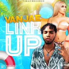 Link Up - Single by VANJAE album reviews, ratings, credits