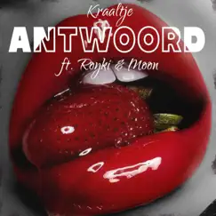 Antwoord (feat. Royki & Moon010) Song Lyrics
