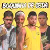 Boquinha de Seda - Single album lyrics, reviews, download