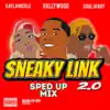 Sneaky Link 2.0 (Sped Up Mix) - Single album lyrics, reviews, download