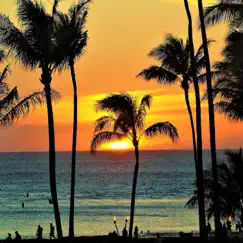 Perfect Vacations in Hawaii - Single by Musics For everyday album reviews, ratings, credits