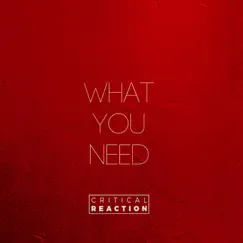 What You Need - Single by Critical Reaction album reviews, ratings, credits