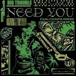 Need You (Kaali Duniya Remix) - Single by Big Trouble album reviews, ratings, credits