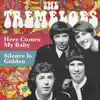 Here Comes My Baby / Silence Is Golden (Rerecorded Version) - Single album lyrics, reviews, download
