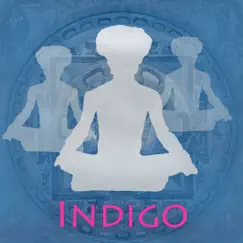 Indigo - Single by Dhyan Guru & Steffen Lutter album reviews, ratings, credits