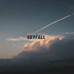 Skyfall Song Lyrics