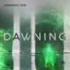 Dawning - Single album lyrics, reviews, download