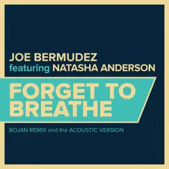 Forget To Breathe (feat. Natasha Anderson) [Acoustic Version] Song Lyrics
