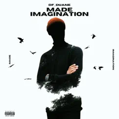 Made Imagination - Single by DF_Duane album reviews, ratings, credits