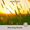 Morning Moods album lyrics, reviews, download
