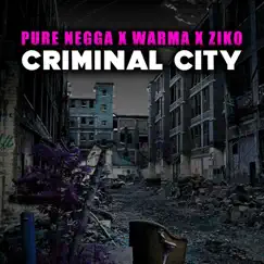 Criminal City Song Lyrics