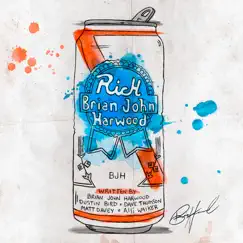 Rich - Single by Brian John Harwood album reviews, ratings, credits