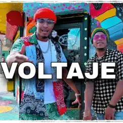 Voltaje 220 (feat. Flow Lleca) - Single by El Gallo Musical album reviews, ratings, credits