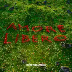 Amore Libero (tu mi rubi l'anima) - Single by Ricko Schwartz, Collage & Daniele Franzese album reviews, ratings, credits