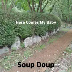 Here Comes My Baby - Single by Soup Doup album reviews, ratings, credits
