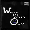 What Is You On (feat. Nardo) - Single album lyrics, reviews, download