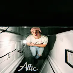 Attic - Single by Jackie Jake album reviews, ratings, credits