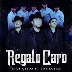 Regalo Caro (feat. Los Robles) Song Lyrics