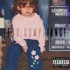 Zero Compliance Song Lyrics