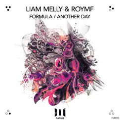 Formula / Another Day (Extended Mix) - Single by Liam Melly & ROYMF album reviews, ratings, credits