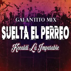 Suelta el Perreo - Single by Keealdi La Imparable album reviews, ratings, credits