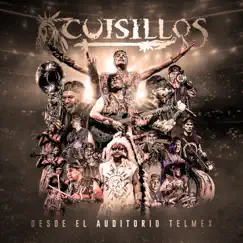 Banda Cuisillos Desde el Auditorio Telmex by Banda Cuisillos album reviews, ratings, credits