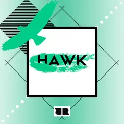 Hawk - Single by RAGZT3R album reviews, ratings, credits