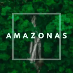 Amazonas - Single by Infraction Music album reviews, ratings, credits