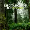 Meditation in the Forest album lyrics, reviews, download