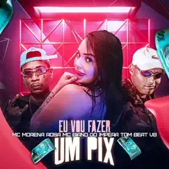 EU VOU FAZER UM PIX (feat. MC Morena Rosa) - Single by DJ Tica, MC Biano do Impéra & DJ TOM BEAT V8 album reviews, ratings, credits