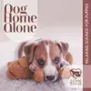 Dog Home Alone (Relaxing Sounds for Puppies) album lyrics, reviews, download