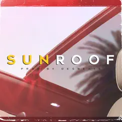 Sunroof - Single by Des Beats album reviews, ratings, credits