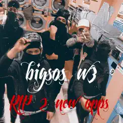 Rip 2 New Opps - Single by Bigsos & W3 album reviews, ratings, credits
