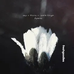 Moments - Single by Eaup, Shierro & Loraina Kenyon album reviews, ratings, credits