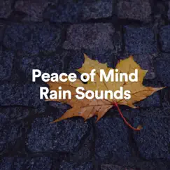 Peace of Mind Rain Sounds by Rain for Deep Sleep, Nature Sounds Nature Music & Sons De Pluie HD album reviews, ratings, credits