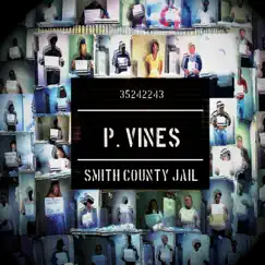 Smith County Jail - Single by P. Vines album reviews, ratings, credits