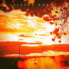 Summer Love - Single by Sleepy Knees album reviews, ratings, credits