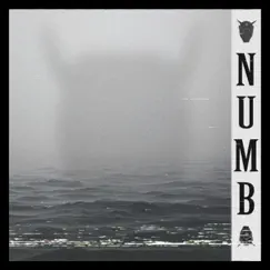 Numb - Single by KSLV Noh album reviews, ratings, credits