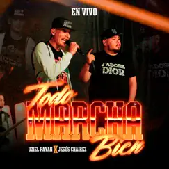 Todo Marcha Bien (En Vivo) [feat. Jesús Chairez] - Single by Uziel Payan album reviews, ratings, credits