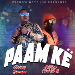 Paam Ke (feat. Okitoue ( That Kid O )) ) Song Lyrics