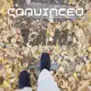 Convinced - Single album lyrics, reviews, download