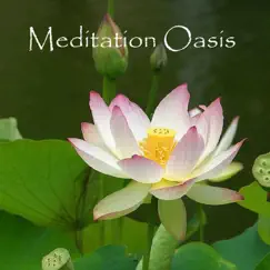 Meditation Oasis (Guided Meditations for Effortlessness, Emotional Ease and Letting Go) by Mary & Richard Maddux album reviews, ratings, credits
