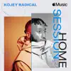Born (feat. Cashh) [Apple Music Home Session] song lyrics