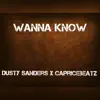 Wanna Know (feat. CapriceBeatz) - Single album lyrics, reviews, download