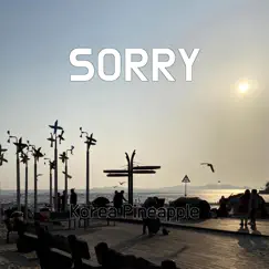 Sorry - Single by Korea Pineapple album reviews, ratings, credits