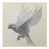 Bird Song (feat. J. Ohm) - Single album lyrics, reviews, download