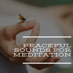 Peaceful Sounds for Meditation: Flute, Drums, Rain by Nature Meditation Channel & Guided Meditation album reviews, ratings, credits