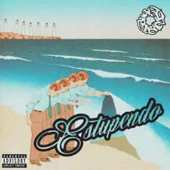 Estupendo - Single by Colectivo POTHEADS album reviews, ratings, credits