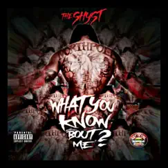 What U Know About Me? - Single by The Shyst album reviews, ratings, credits